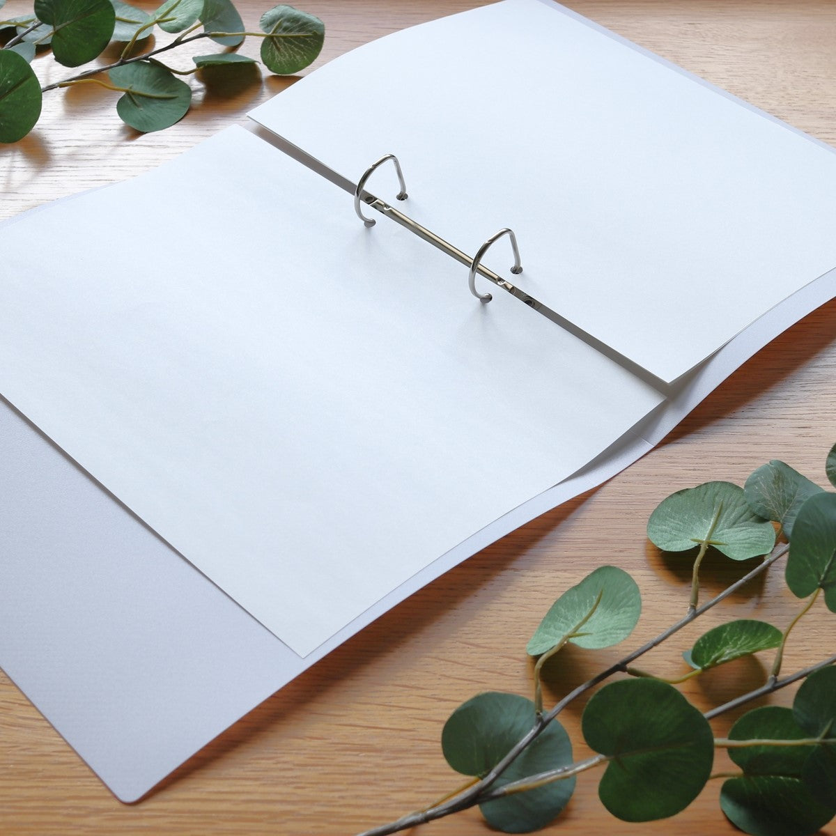 多色リング式ファイルセット リング式ファイル D型リングファイル PB.A4 Dリングファイル 2穴