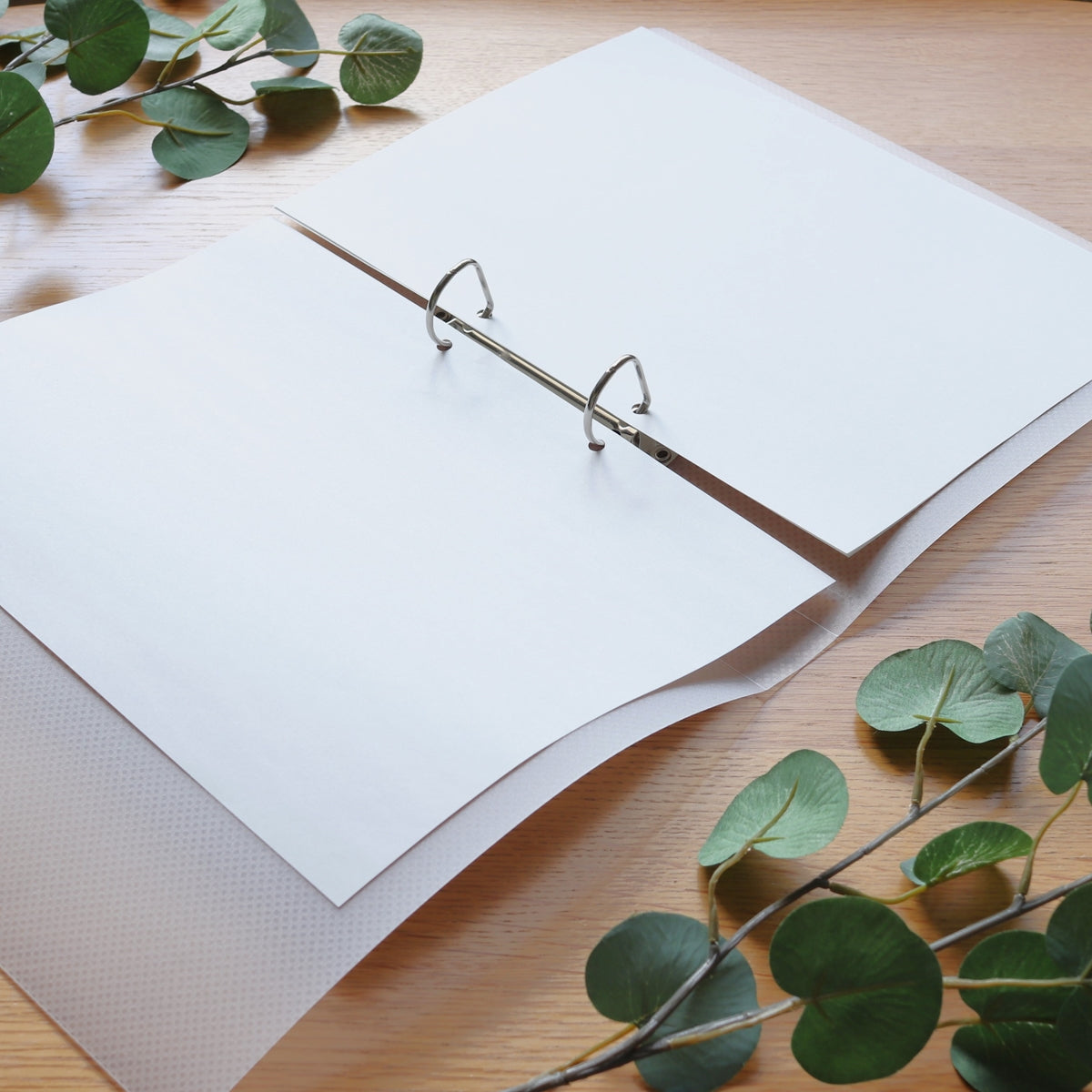 リング式ファイル D型リングファイル PB.A4 Dリングファイル 2穴