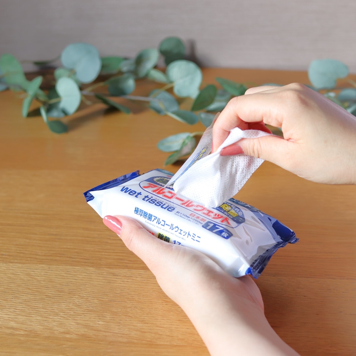 PB.極厚パワフル除菌 アルコールウエットミニ 17枚 2P 049122