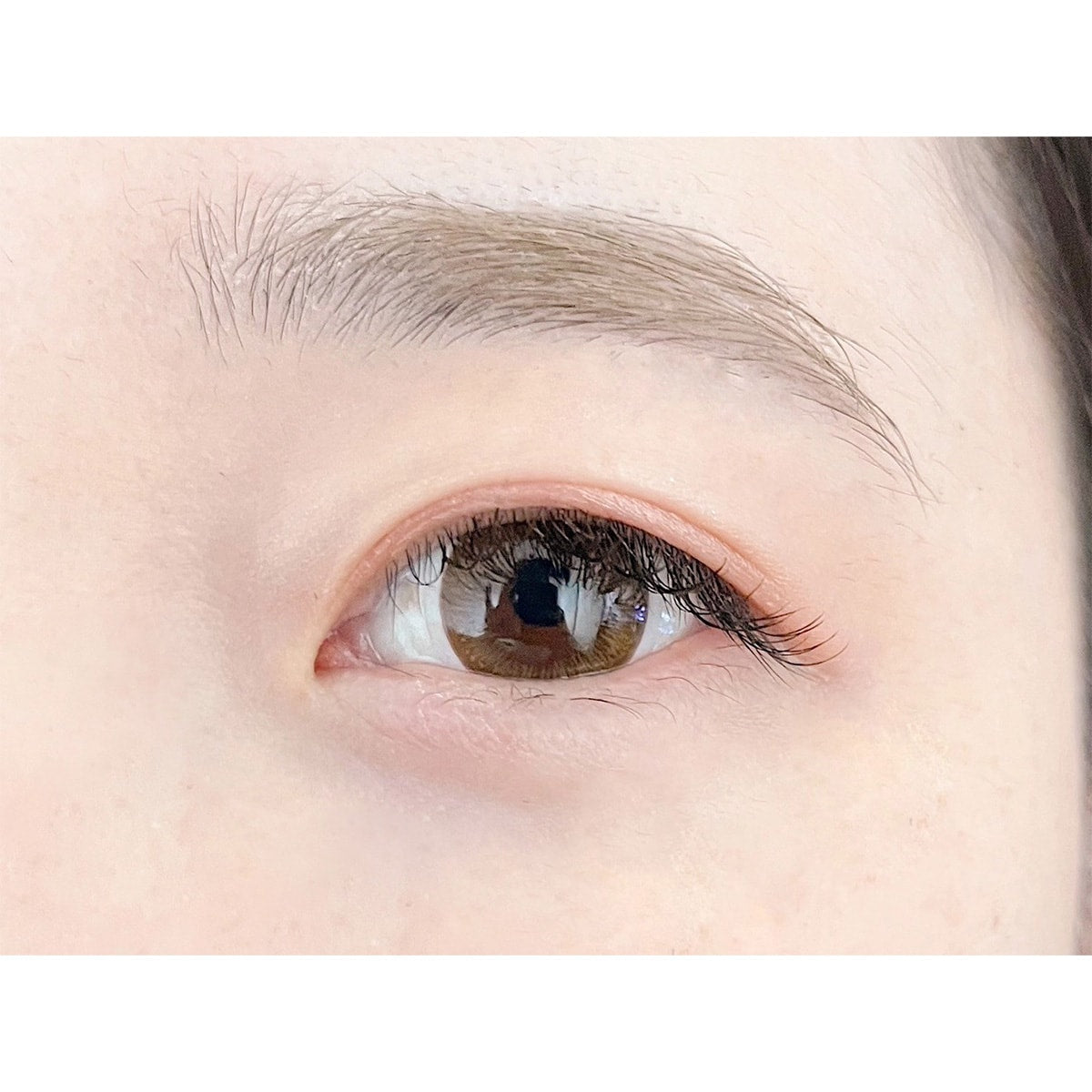 【値下げ】pat アイシャドウV 2024年冬新作アイシャドウパレット】Bijoux Brilliance Eye