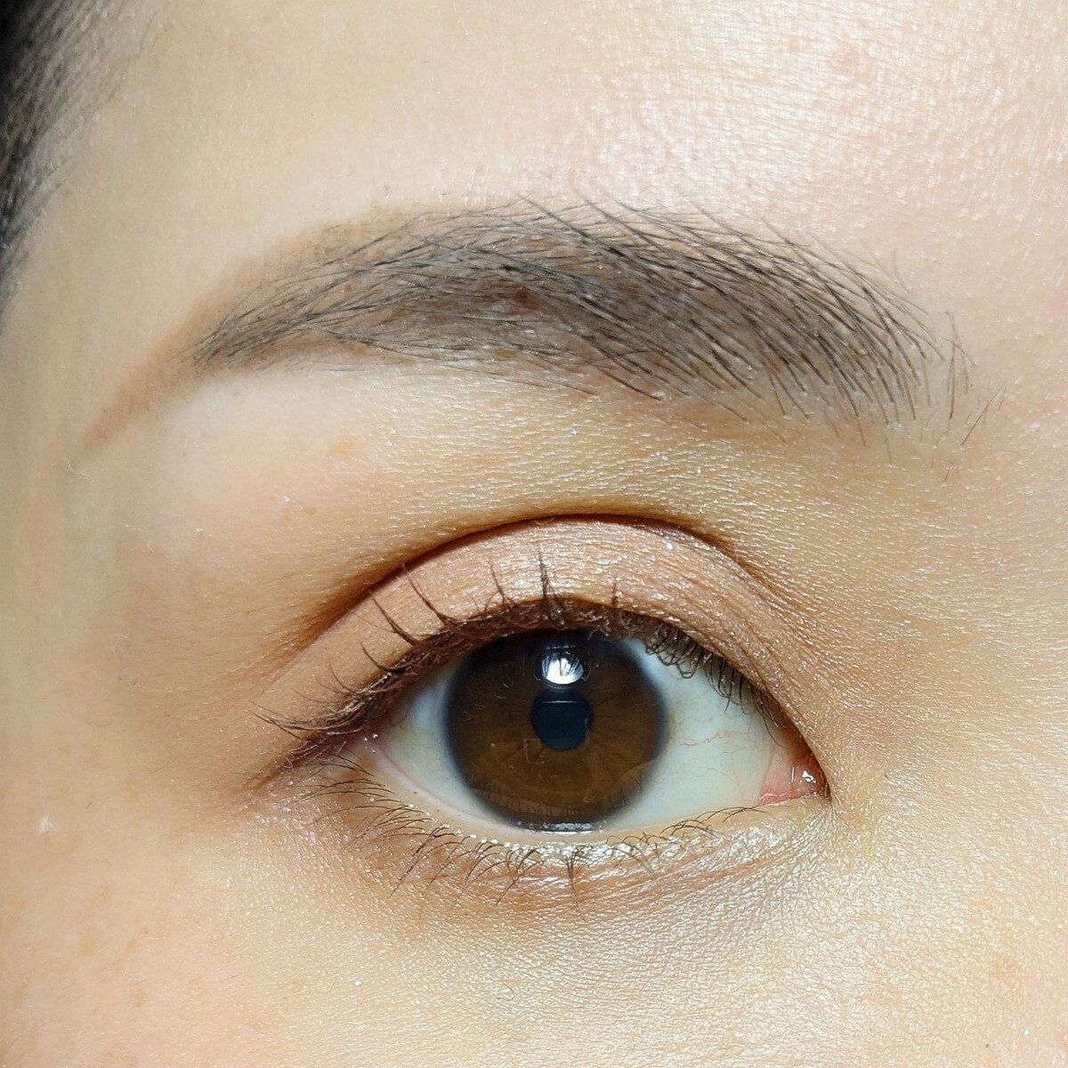 アイシャドウ ライナー 2 in 1 PB. fasmy マルチジェルアイ