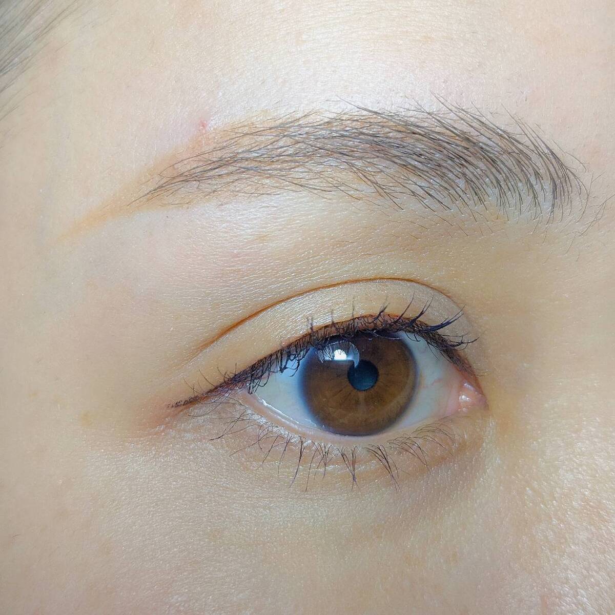 AC アイブロウペンシル眉ブラシ&コーム付 ブラウン 053757