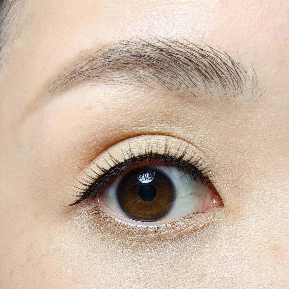 実柚季のまつげ MYK WORK つけまつげ ステンドグラス蝶 上下