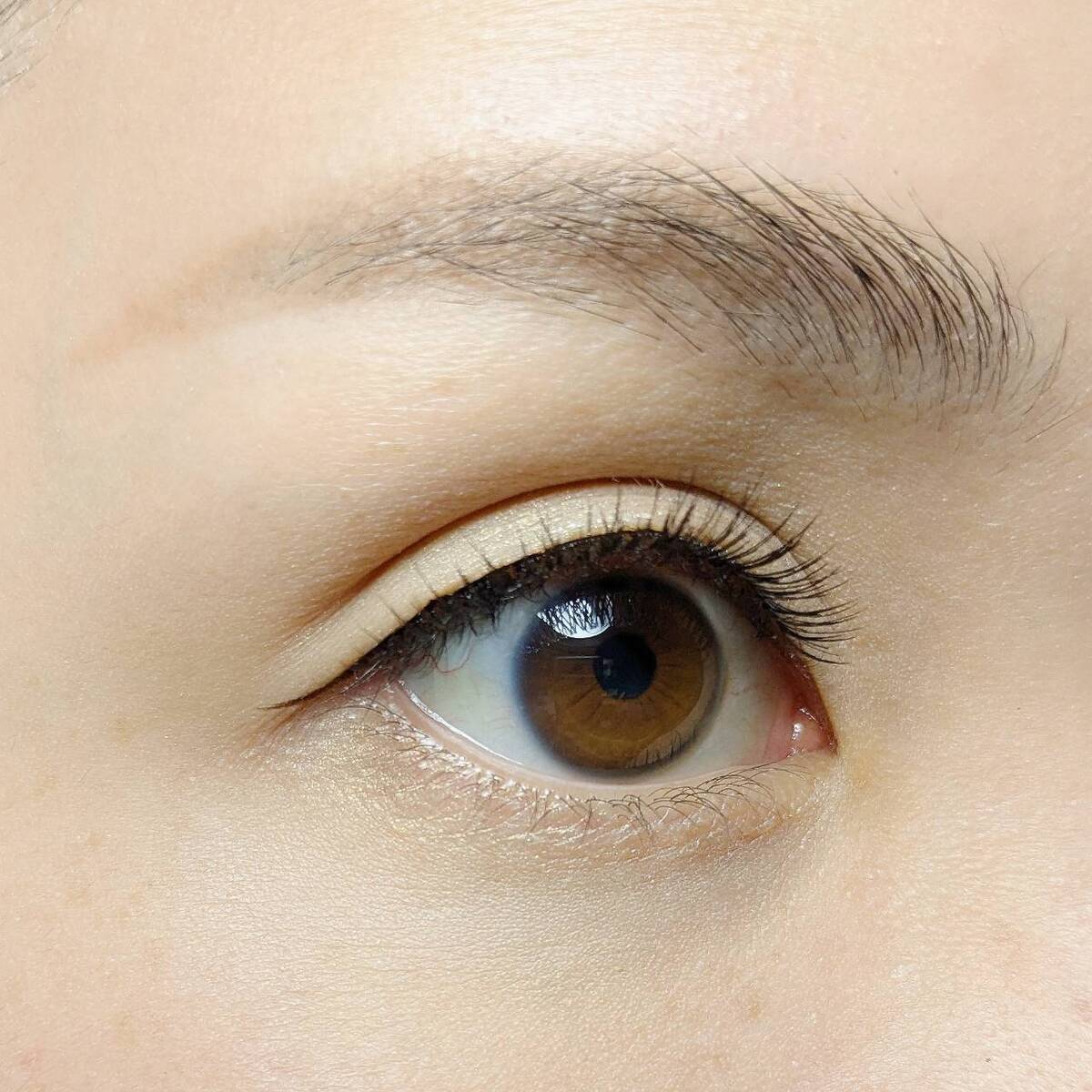 プーさんのまつげ PB. fasmyつけまつげ 3ペア入 ツケマ 04 054364