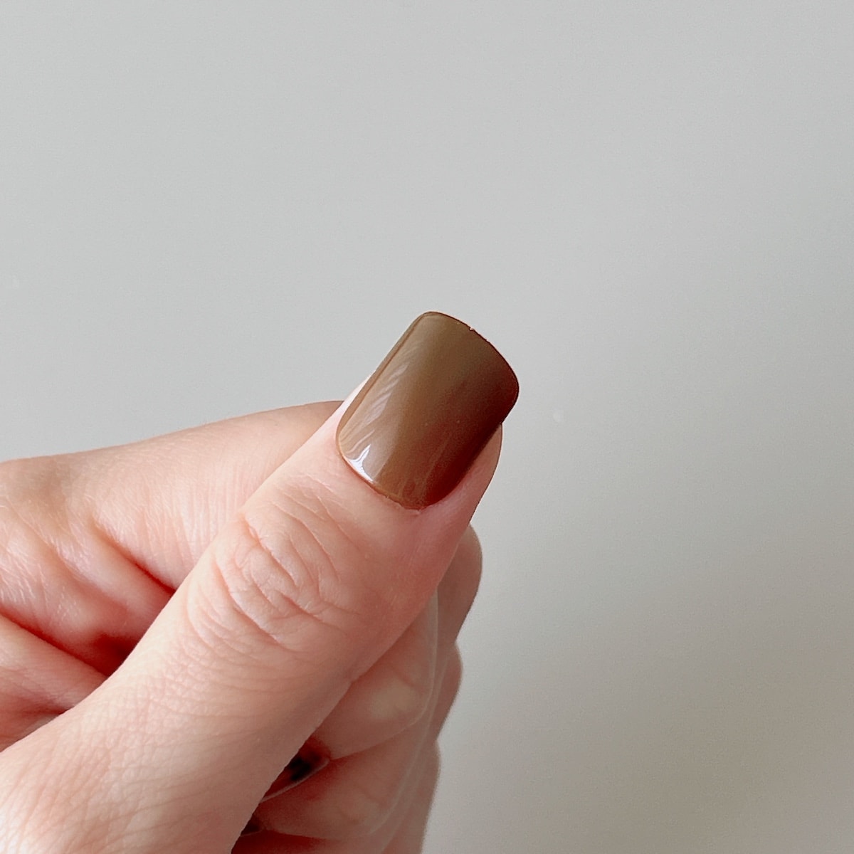 OUTLET】つけ爪 PB. fasmy ネイルチップ 24枚入 03 ブラウンマーブル