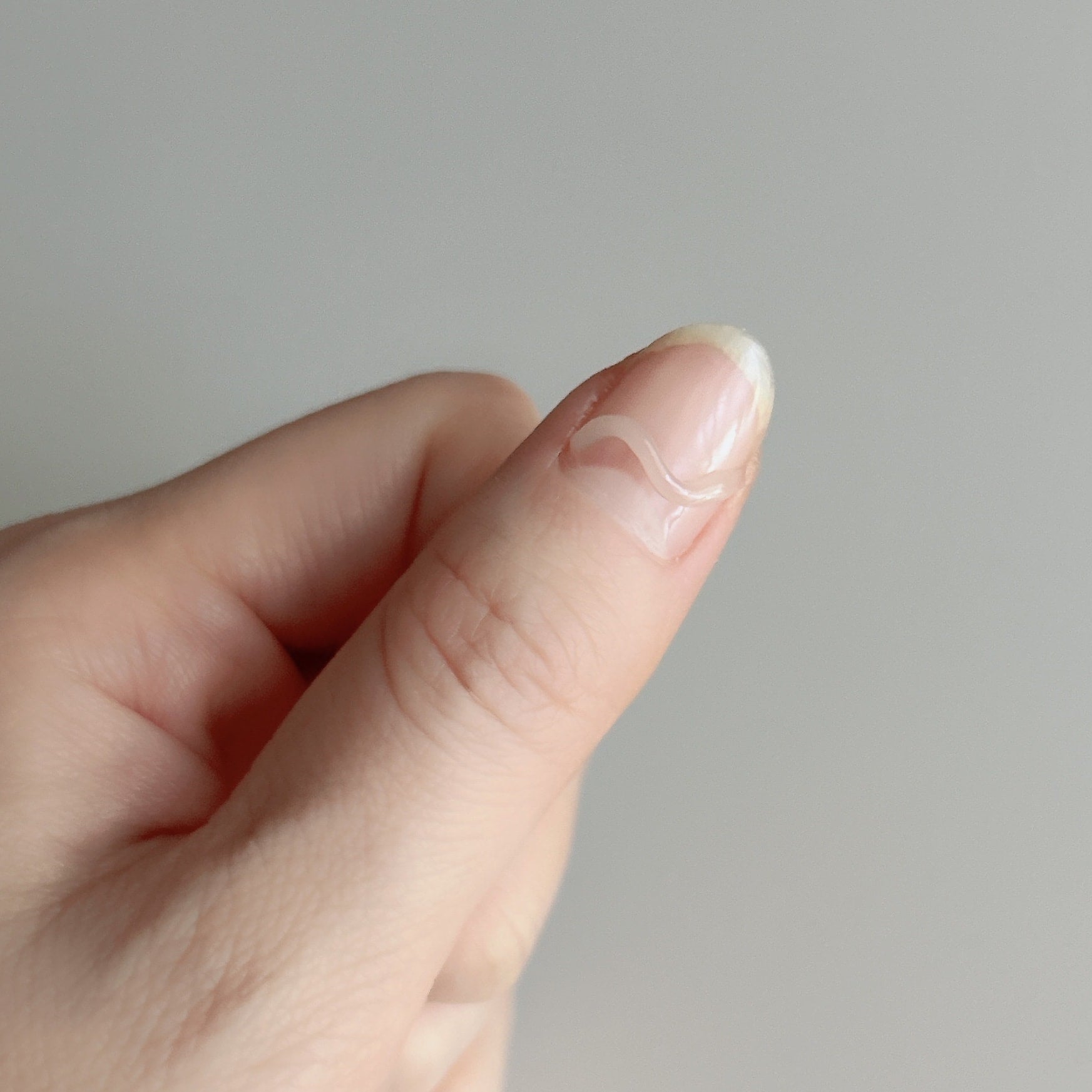 ジェルネイル ノズルタイプ ネイルアート PB. fasmy アイシングジェル