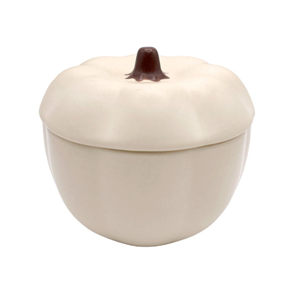 小鉢 ボウル Tokinone PB.蓋つきボウル パンプキン ストーン