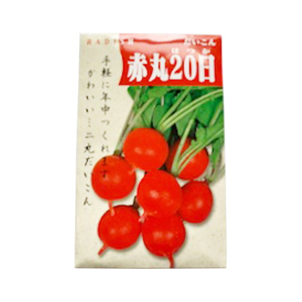 野菜種子 二十日大根　62331