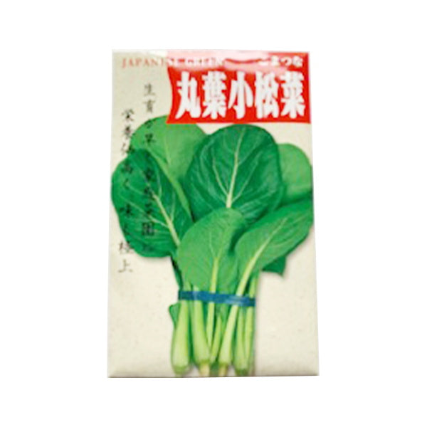 種子 野菜のタネ 丸葉小松菜　62333