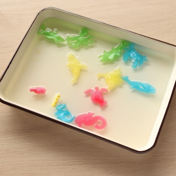 水でふくらむ！スポンジカプセル　081054