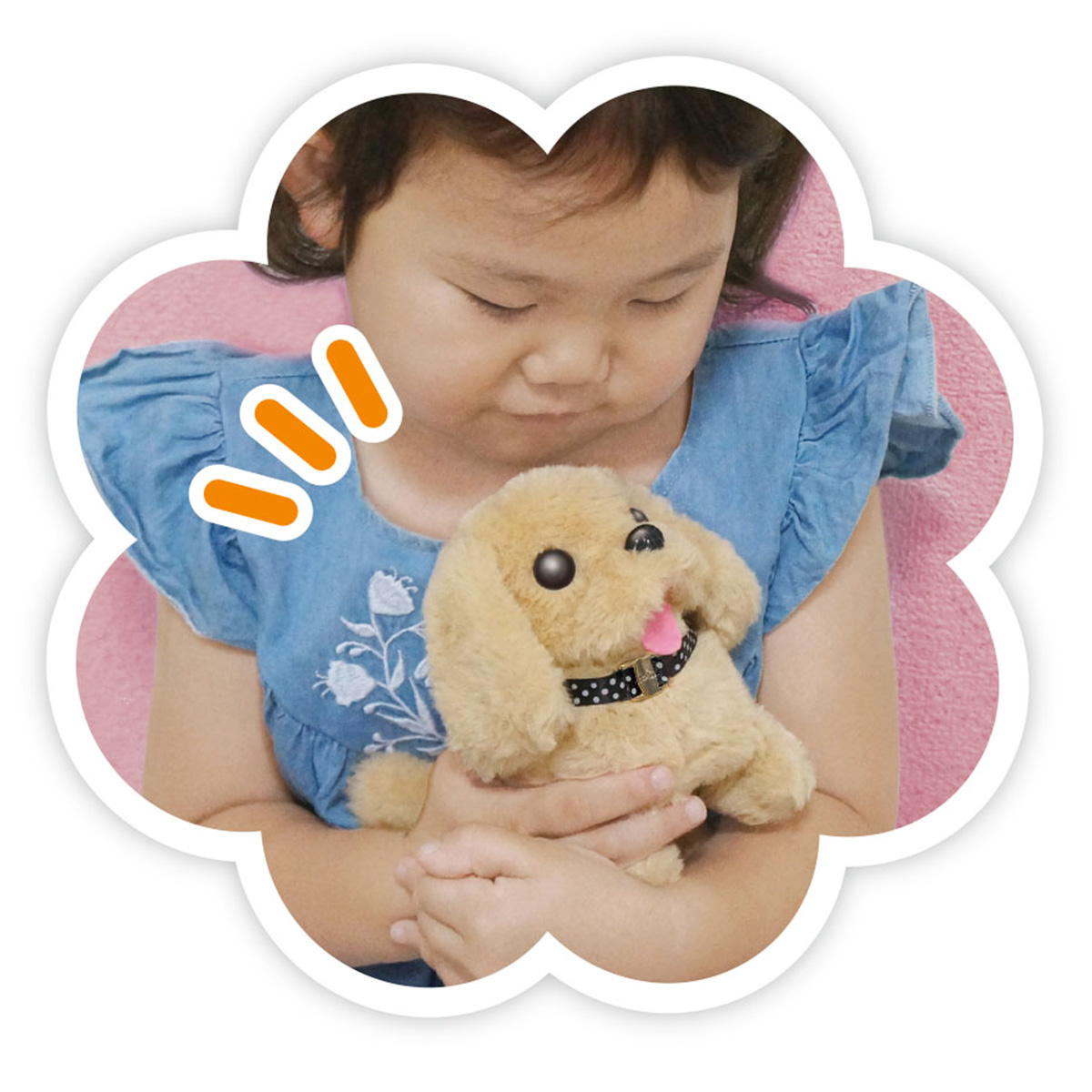 OUTLET】わんちゃんおせわセット 301609