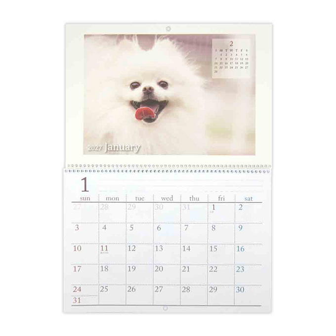 2027 見開きB4 リング壁掛けカレンダー DOG 308623