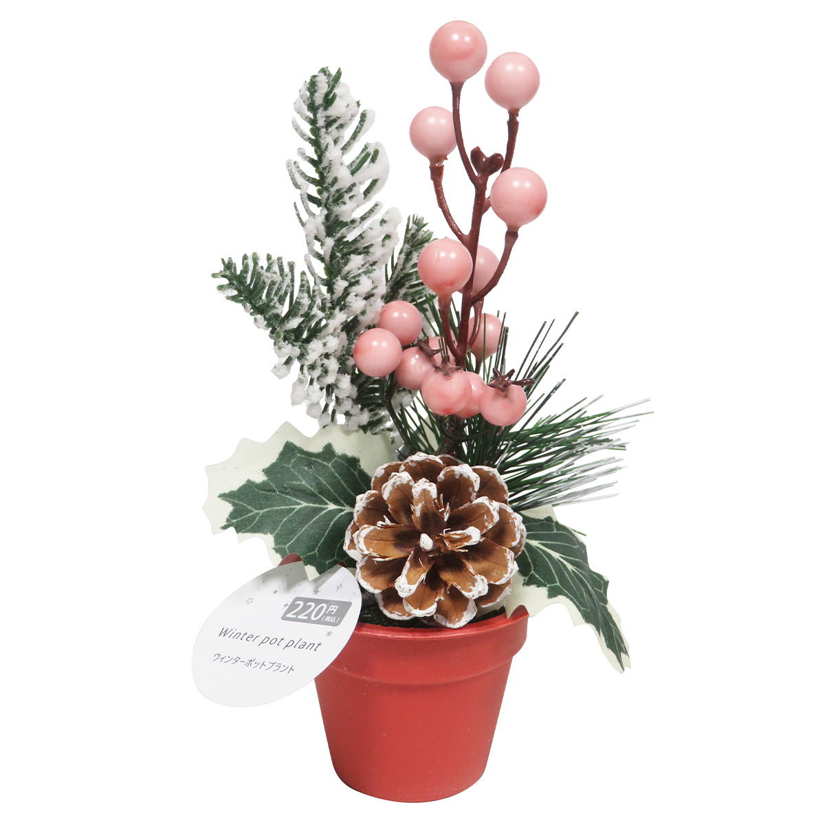 ウィンターポットプラント 312043