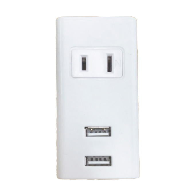 コンセントタップ2個口 USB×2 319295