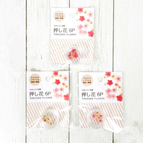 花づくし 全6巻セット H-2136.jpg?v=1724214000&width=416