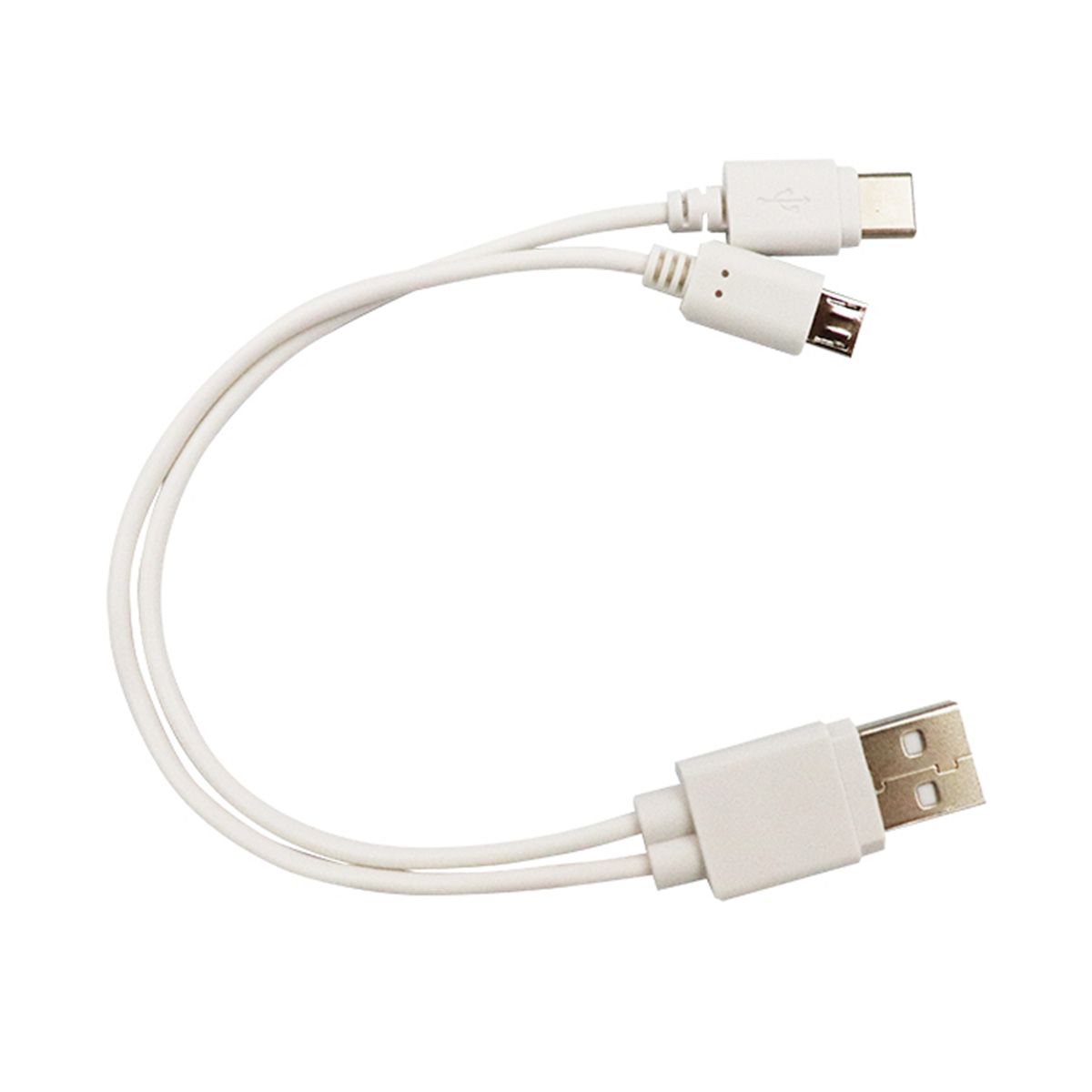 美顔器 ホワイト/ブルー 充電ケーブル付き cable_yancom_kg.jpg