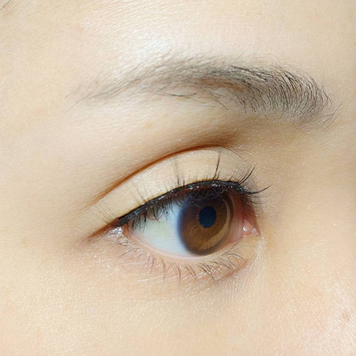 自然で厚い つけまつげ ブラウン 約1センチ 5ペア ICYCHE 泰式 自然で厚い つけまつげ ブラウン 約1センチ 5ペア ICYCHE 泰式