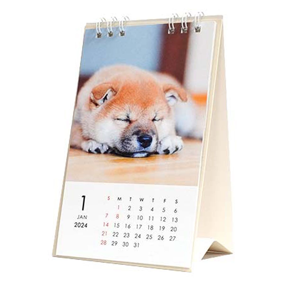 【OUTLET】卓上カレンダー 2024年 カレンダー 卓上タテ型 イヌ 351873