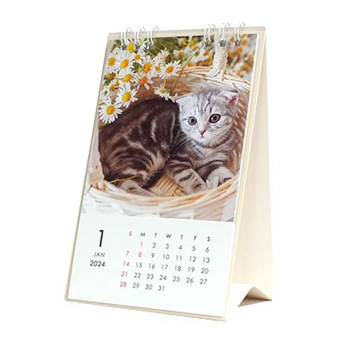 【OUTLET】卓上カレンダー2024年 カレンダー 卓上タテ型 ネコ 351874