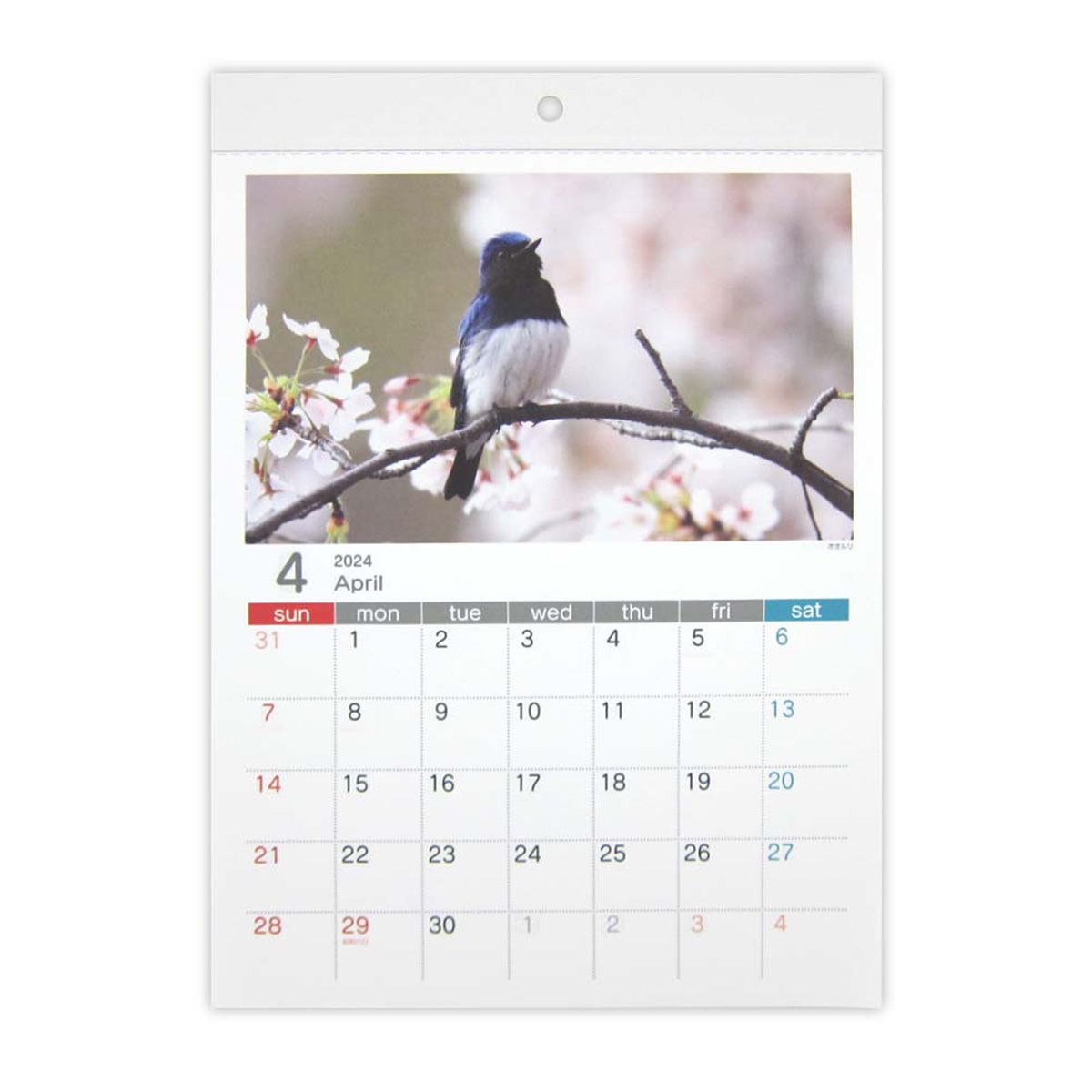 A4 壁掛けカレンダー 鳥 4月始まり 353066