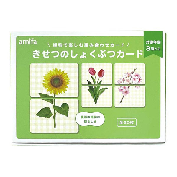 子どもの絵　植物 楽天市場】絵本 Planting A Rainbow にじいろのはなさかせよう