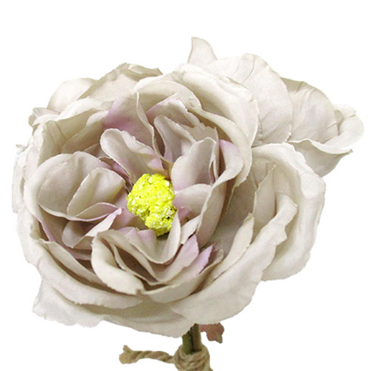 ドライオールドローズバンドル GR-MAV 360426