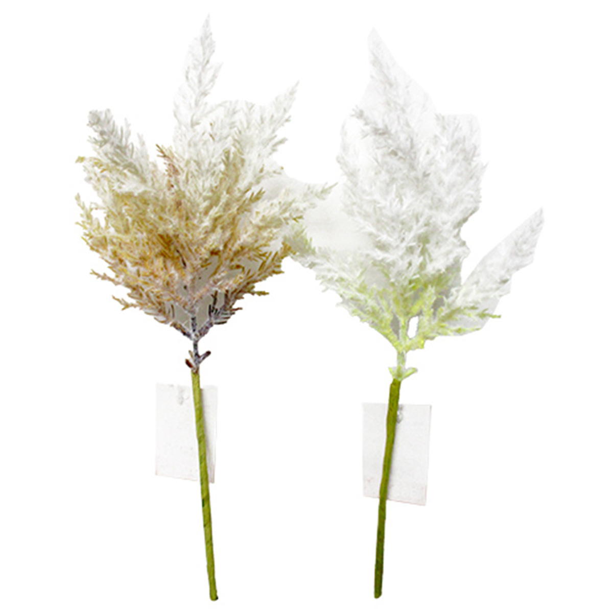 ドライパンパスショート 360472