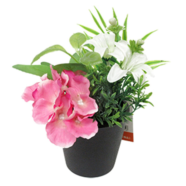 紫陽花 ⋱ 紫陽花