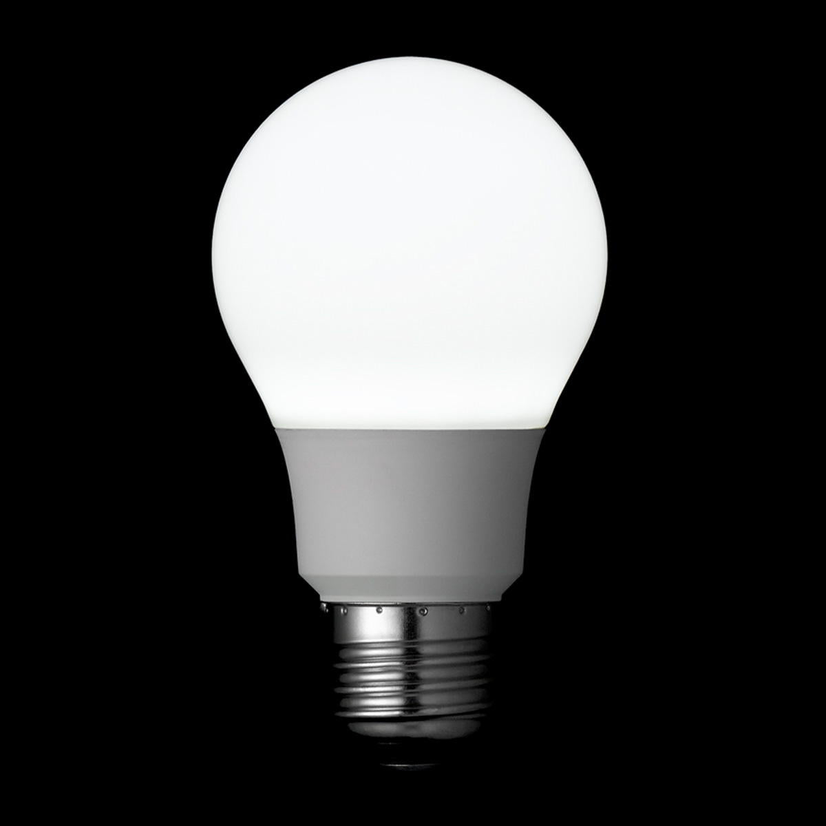 一般電球形LED60W昼白色 362403