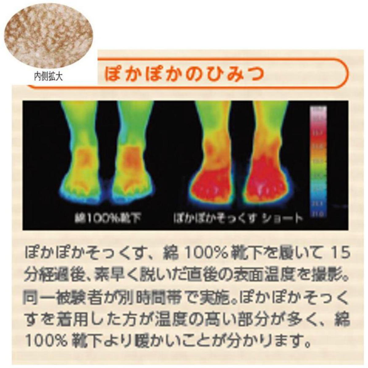 ポカポカソックスS シマエナガGY 365263