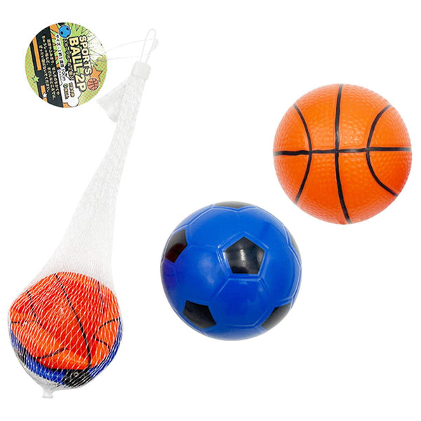 スポーツボール 2個入 371388