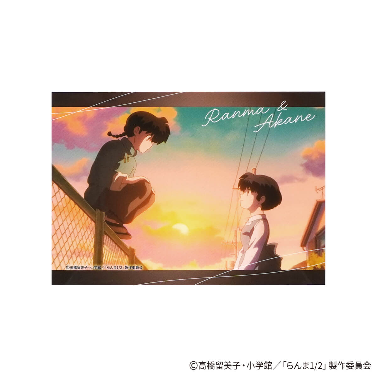 らんま1/2 イラストカード ポップ柄 コンプリートセット 371533
