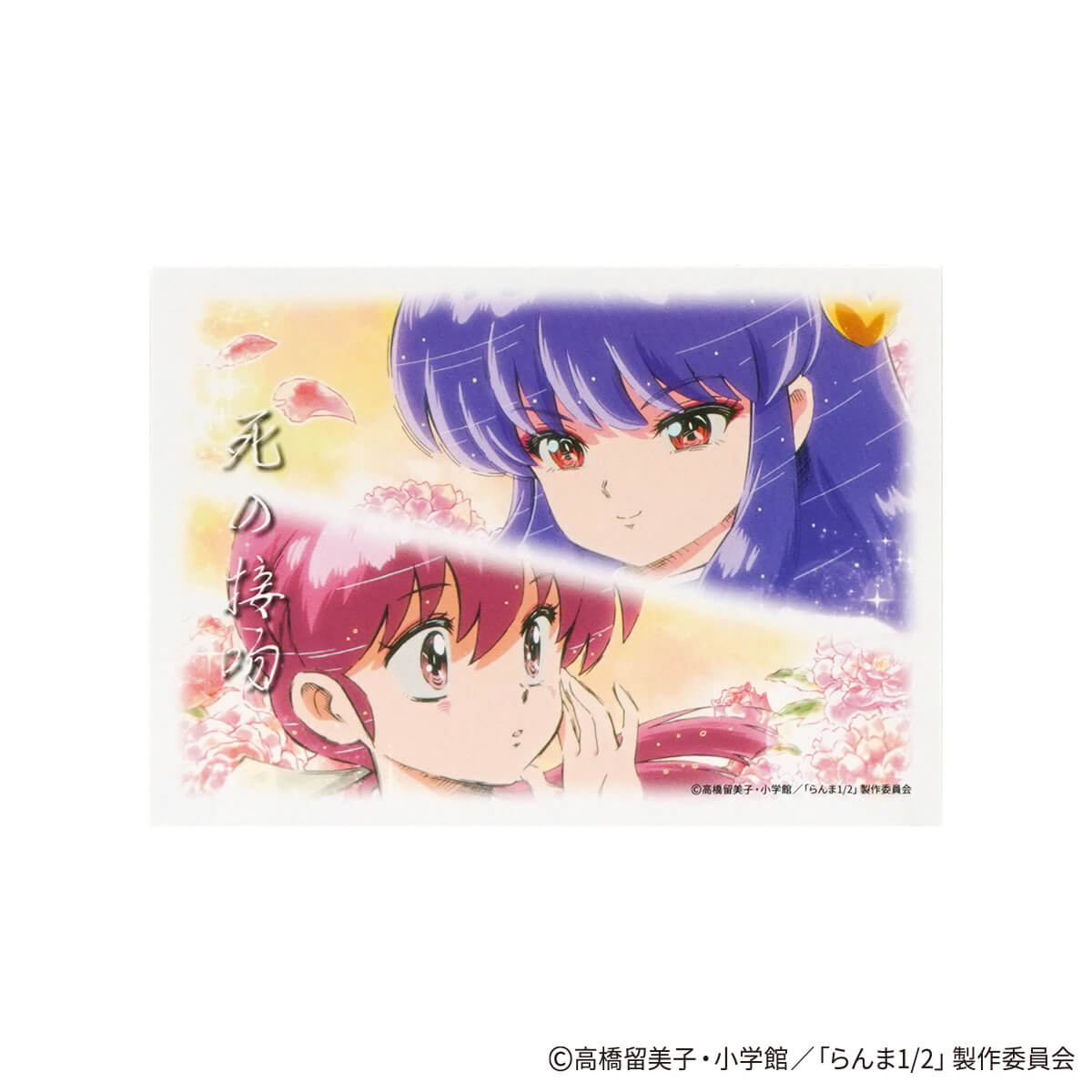 らんらんさま らんま1/2 イラストカード ポップ柄 コンプリートセット 371533