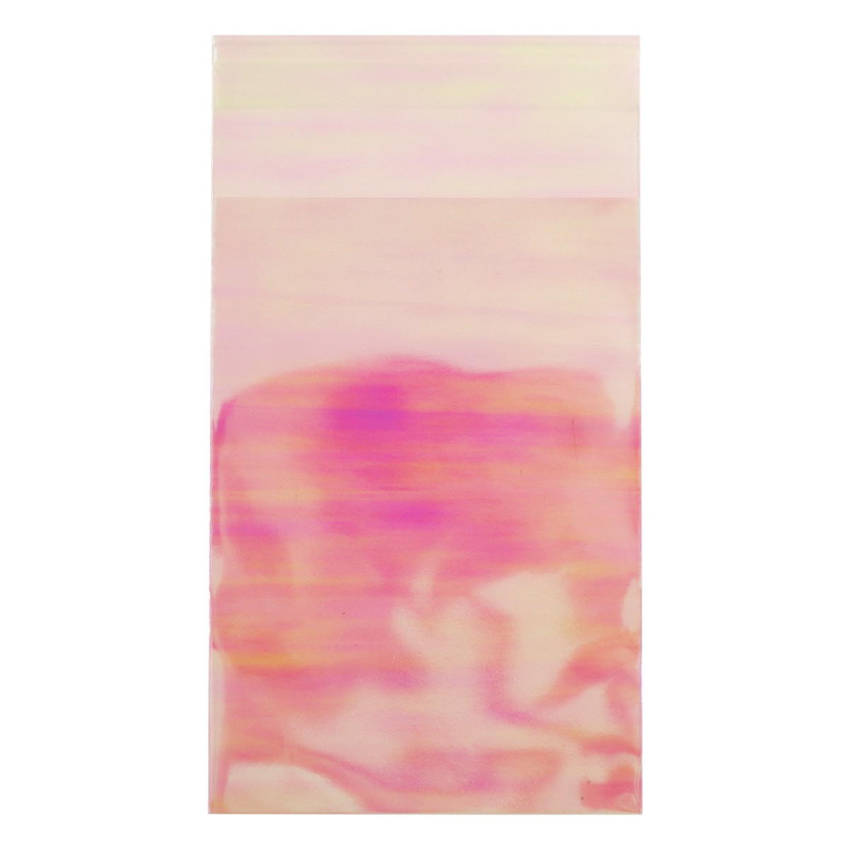 ビニールバッグ 糊付 12P オーロラ 12×8.3cm 371640